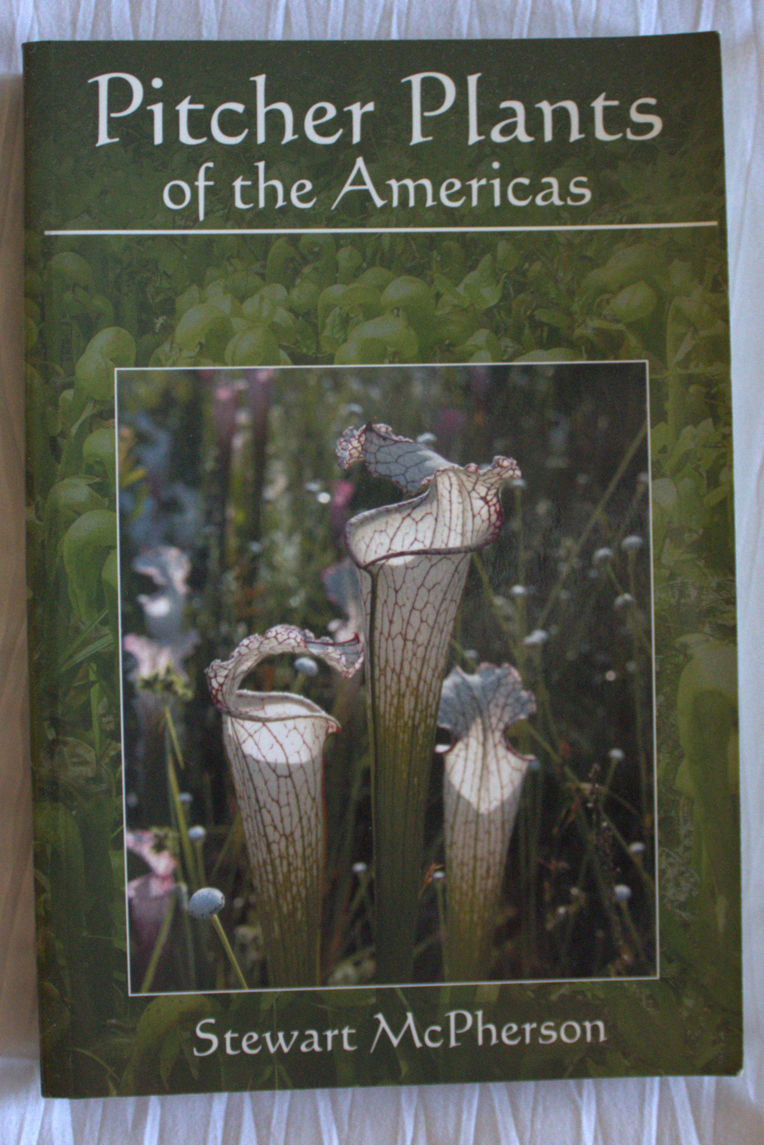 Pitcher Plants of Americas