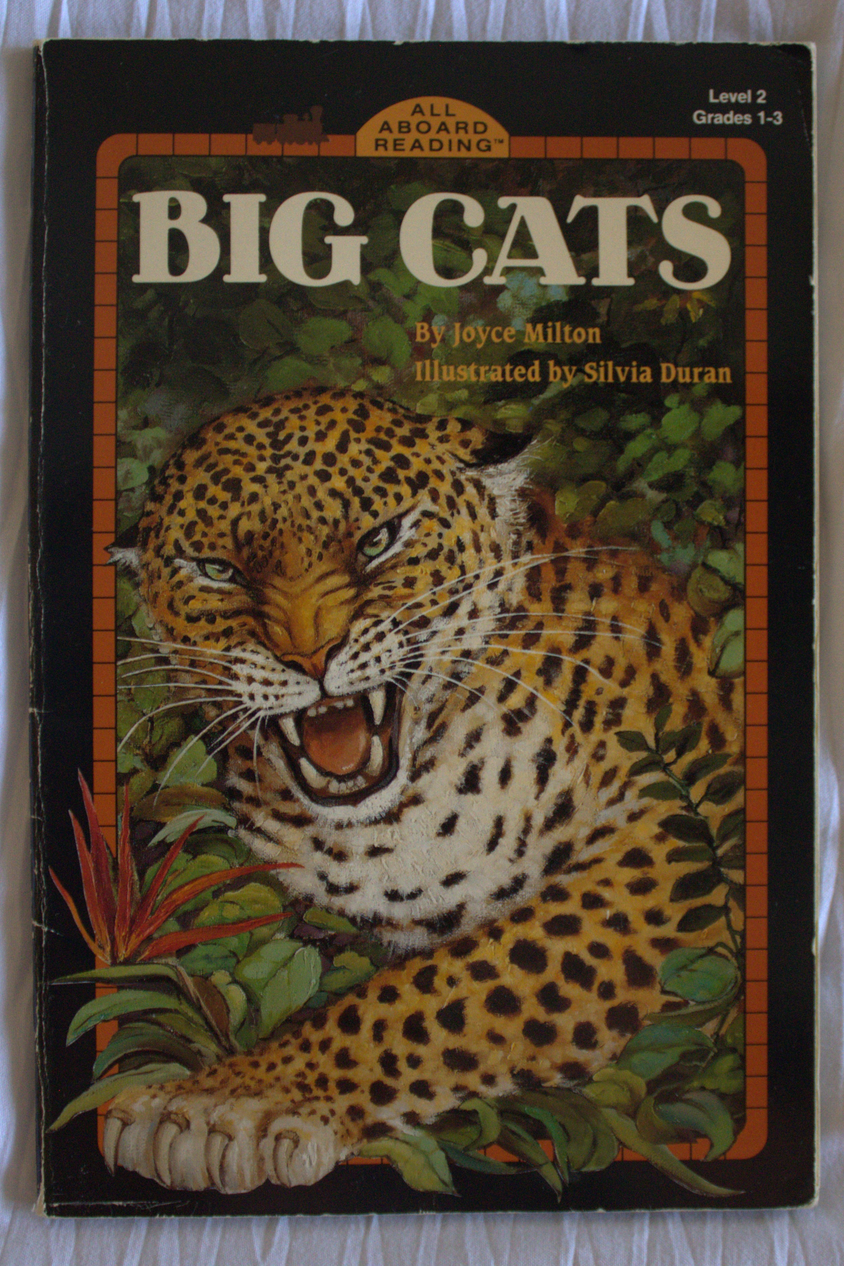 Big Cats