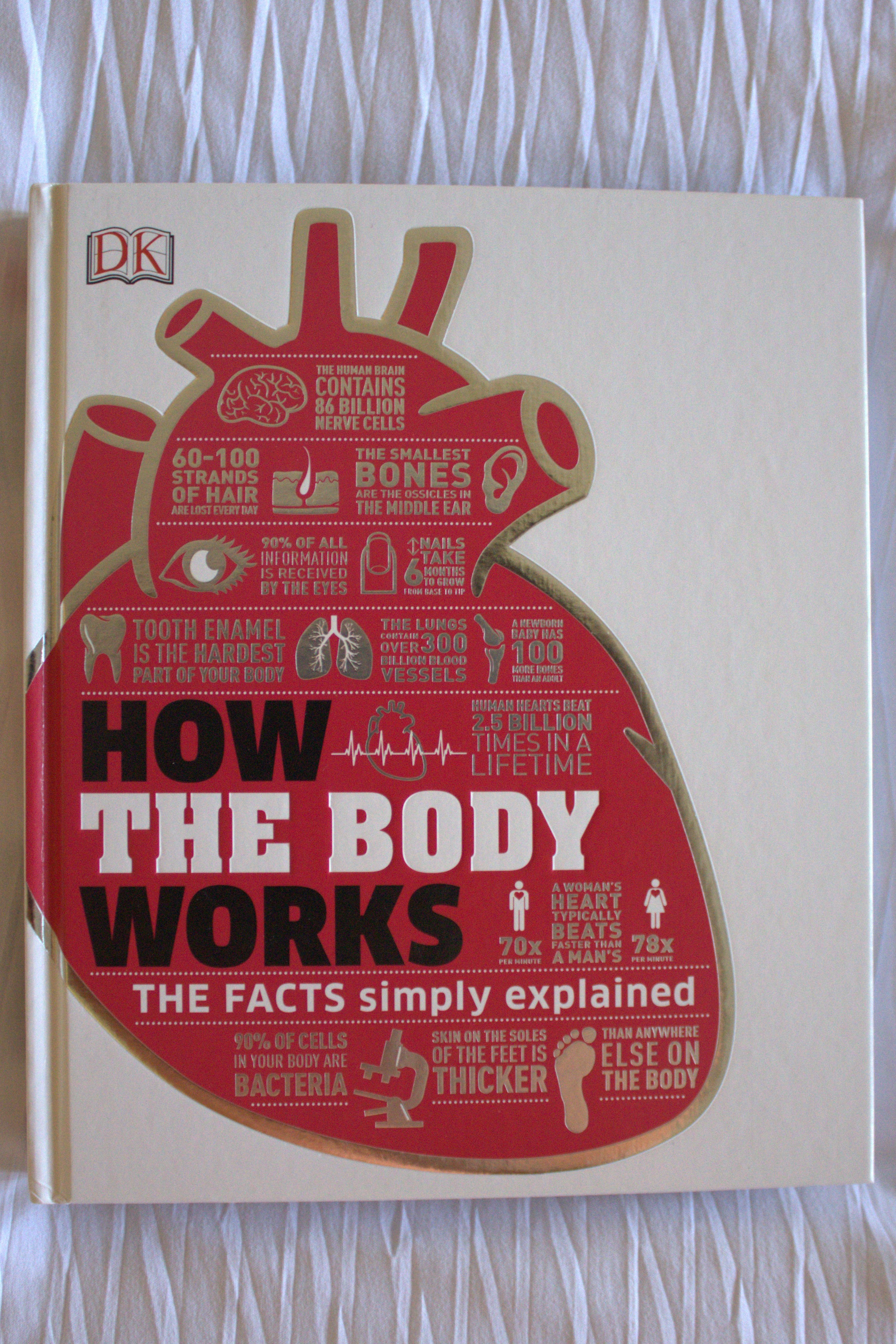 How the Body Works