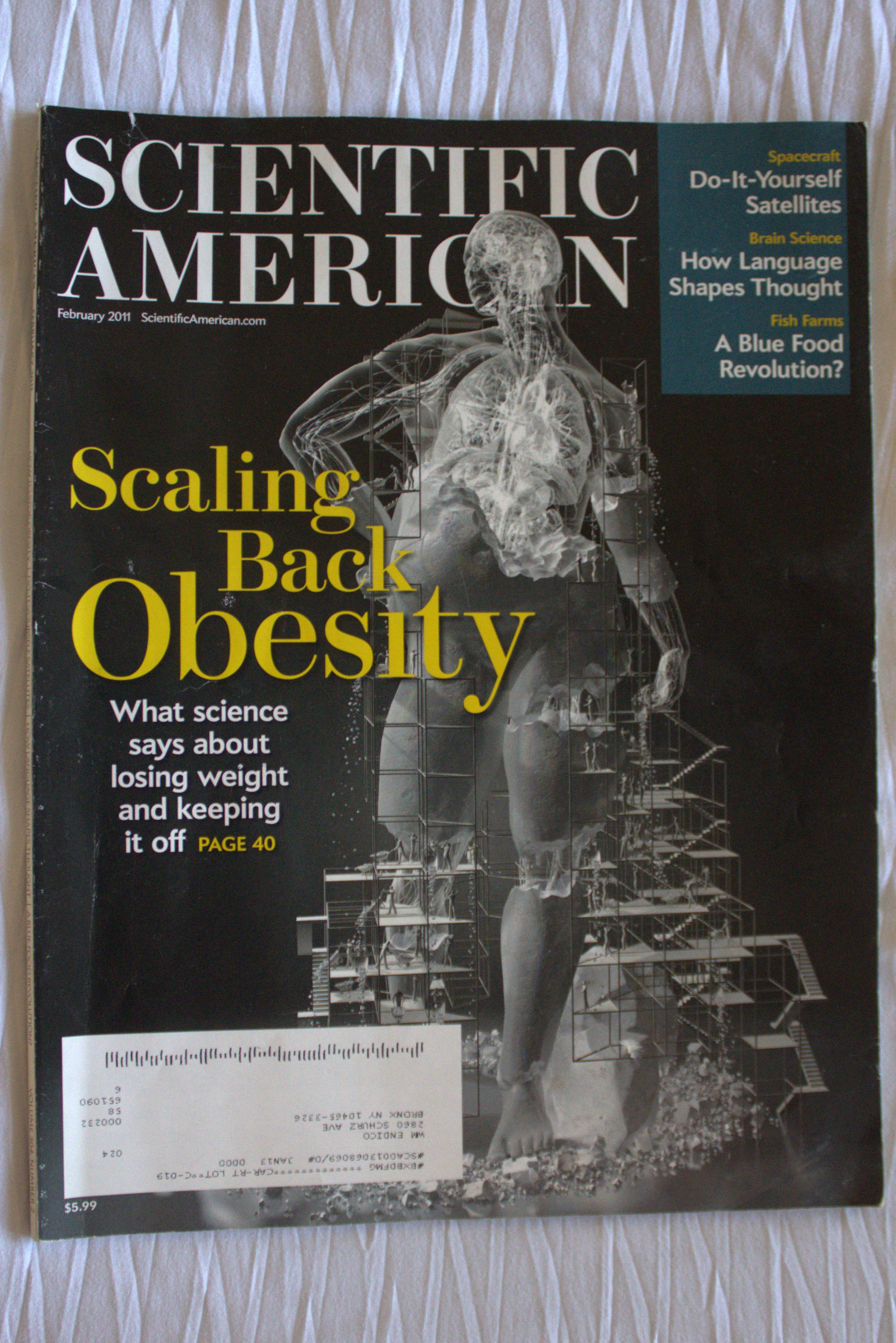 Scaling Back Obesity